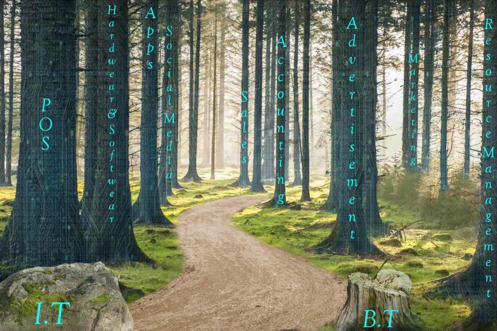 forest of tech dirt road